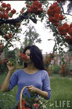 Load image into Gallery viewer, Rose, Plumeria, Magnolia “Superbloom” Perfume Oil Roll-On