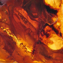 Load image into Gallery viewer, Amber & Warm Vanilla “Immortal Beloved” 8oz Soy Candle