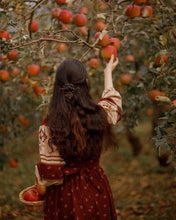 Load image into Gallery viewer, Apple & Lavender “Cottage Tales” Perfume Oil Roll-On