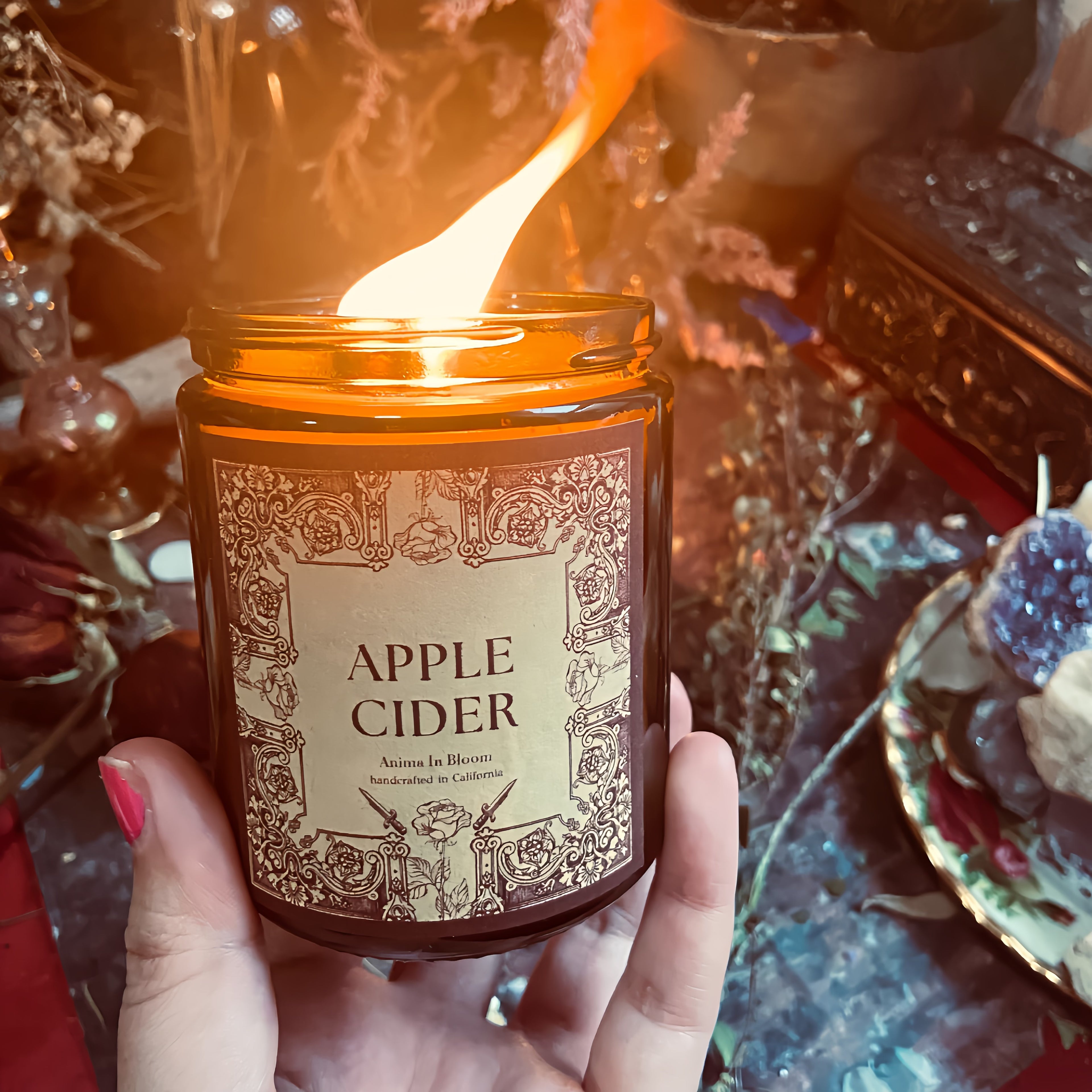 Apple Cider 8oz Soy Candle