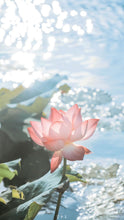 Load image into Gallery viewer, Lotus and Citrus “Lotus Kiss” Perfume Oil Roll-On