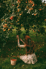 Load image into Gallery viewer, Apple Cider 8oz Soy Candle