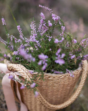 Load image into Gallery viewer, Vanilla, Orange, Lavender “Anima in Bloom” Perfume Oil Roll-On