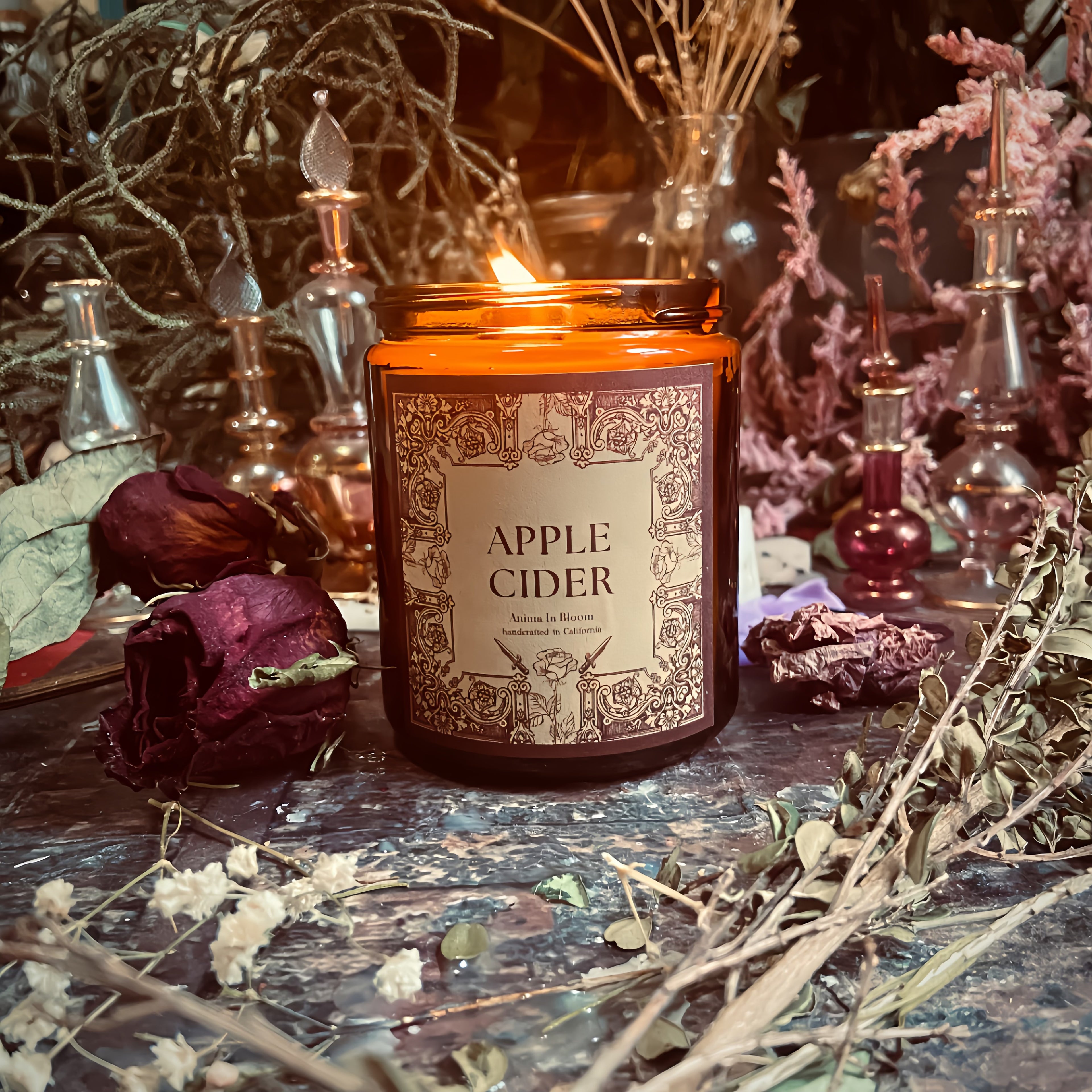 Apple Cider 8oz Soy Candle