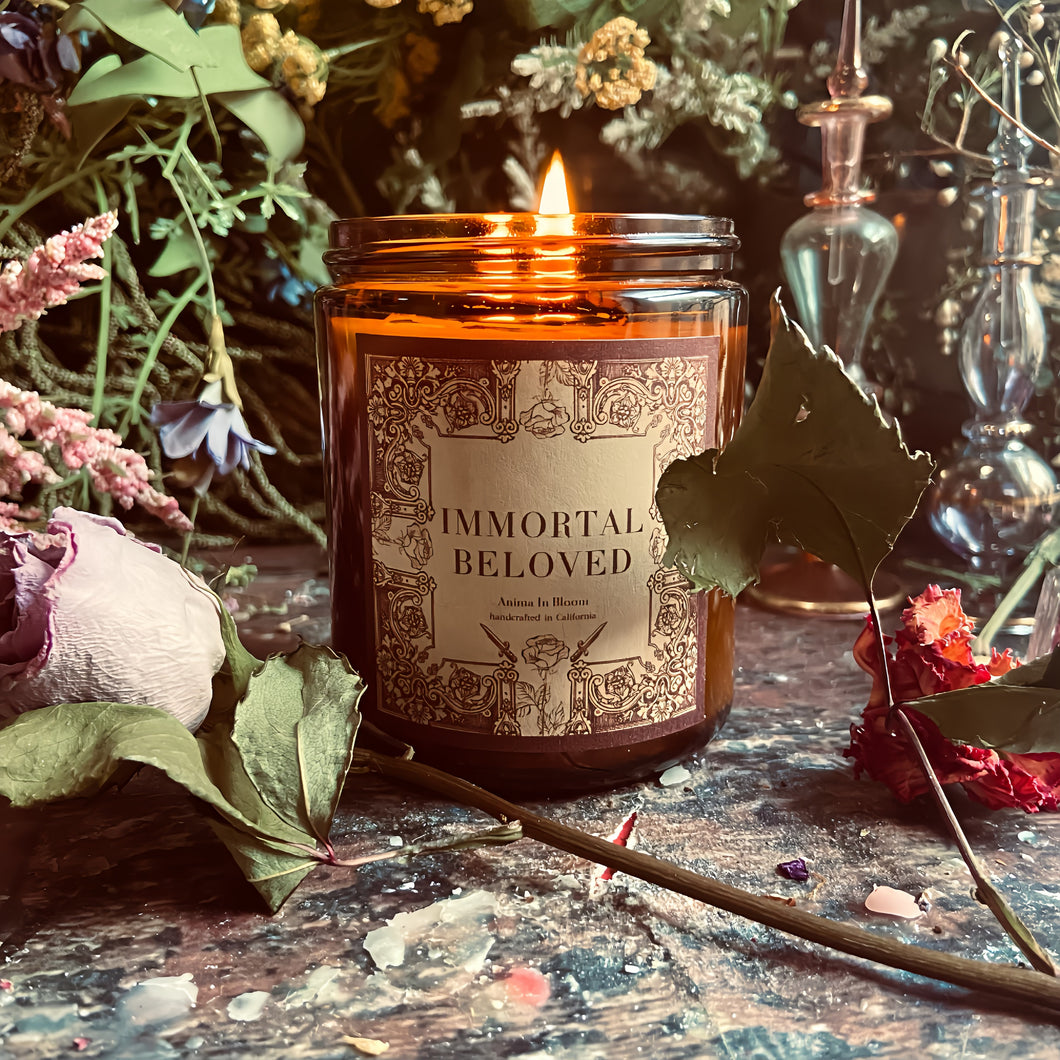 Amber & Warm Vanilla “Immortal Beloved” 8oz Soy Candle