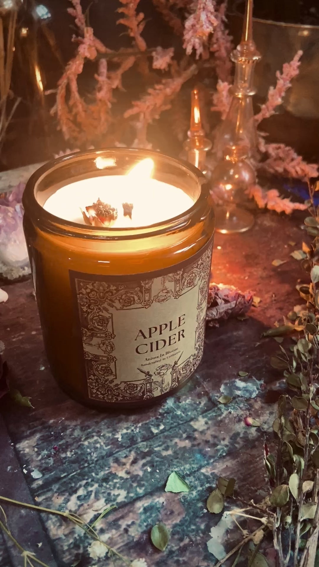 Apple Cider 8oz Soy Candle
