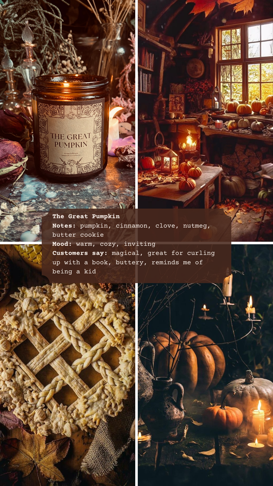 Pumpkin Spice 8 Oz Soy Candle