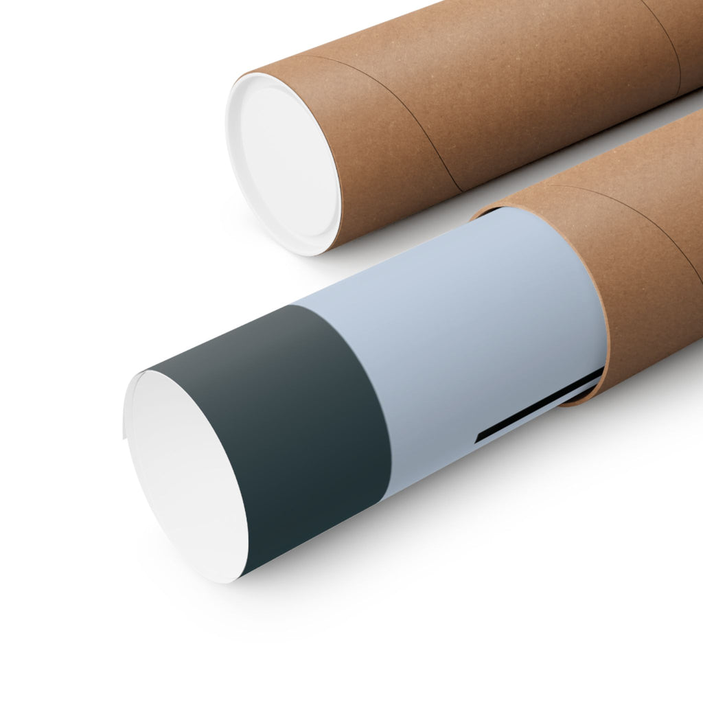 Tina Turner Poster (24" x 32")