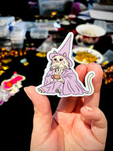 Load image into Gallery viewer, Zen Master Meow Water Bottle Sticker
