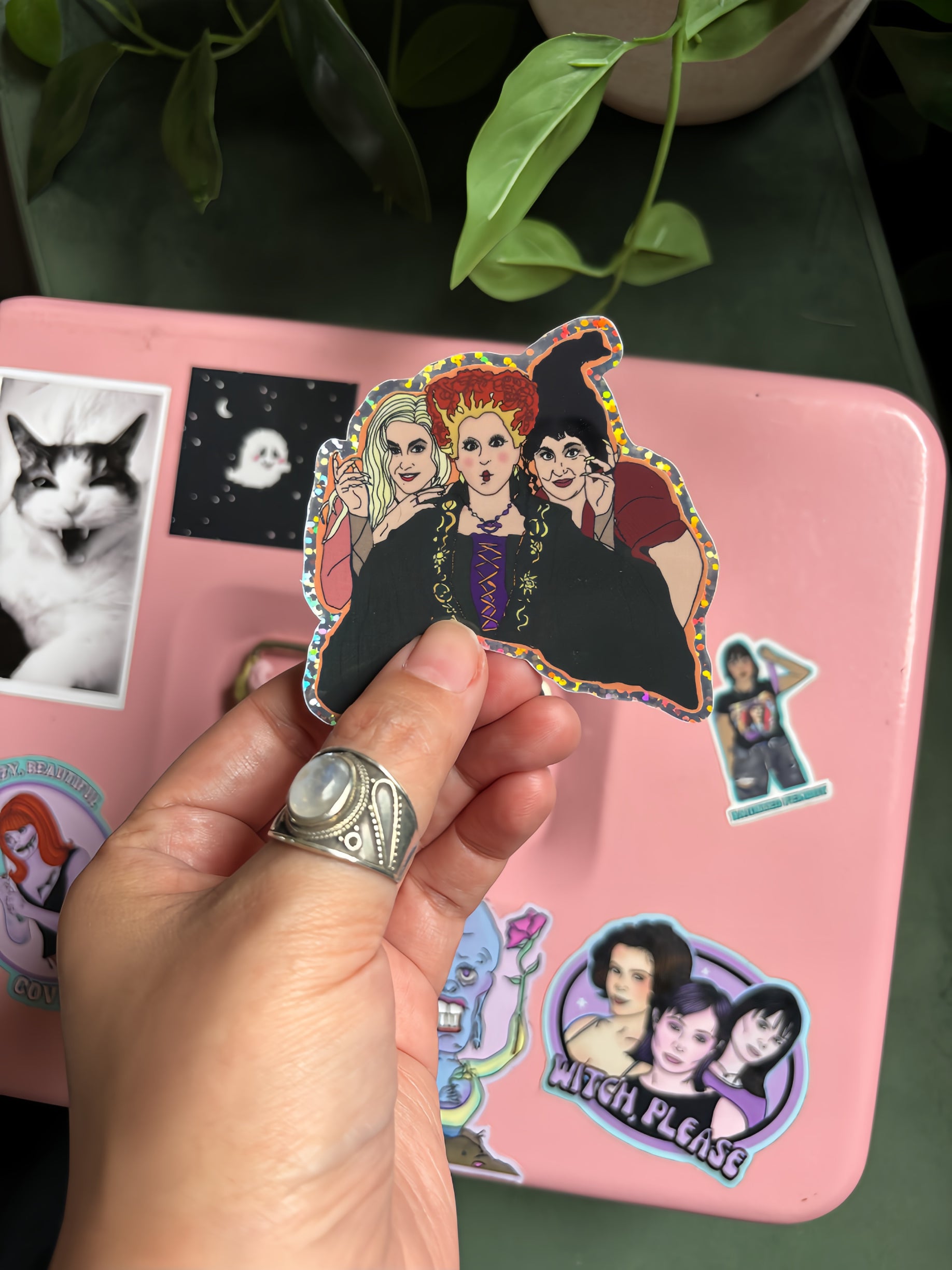 Sanderson Sisters/ Hocus Pocus Water Bottle Sticker