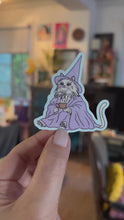 Load and play video in Gallery viewer, Zen Master Meow Water Bottle Sticker
