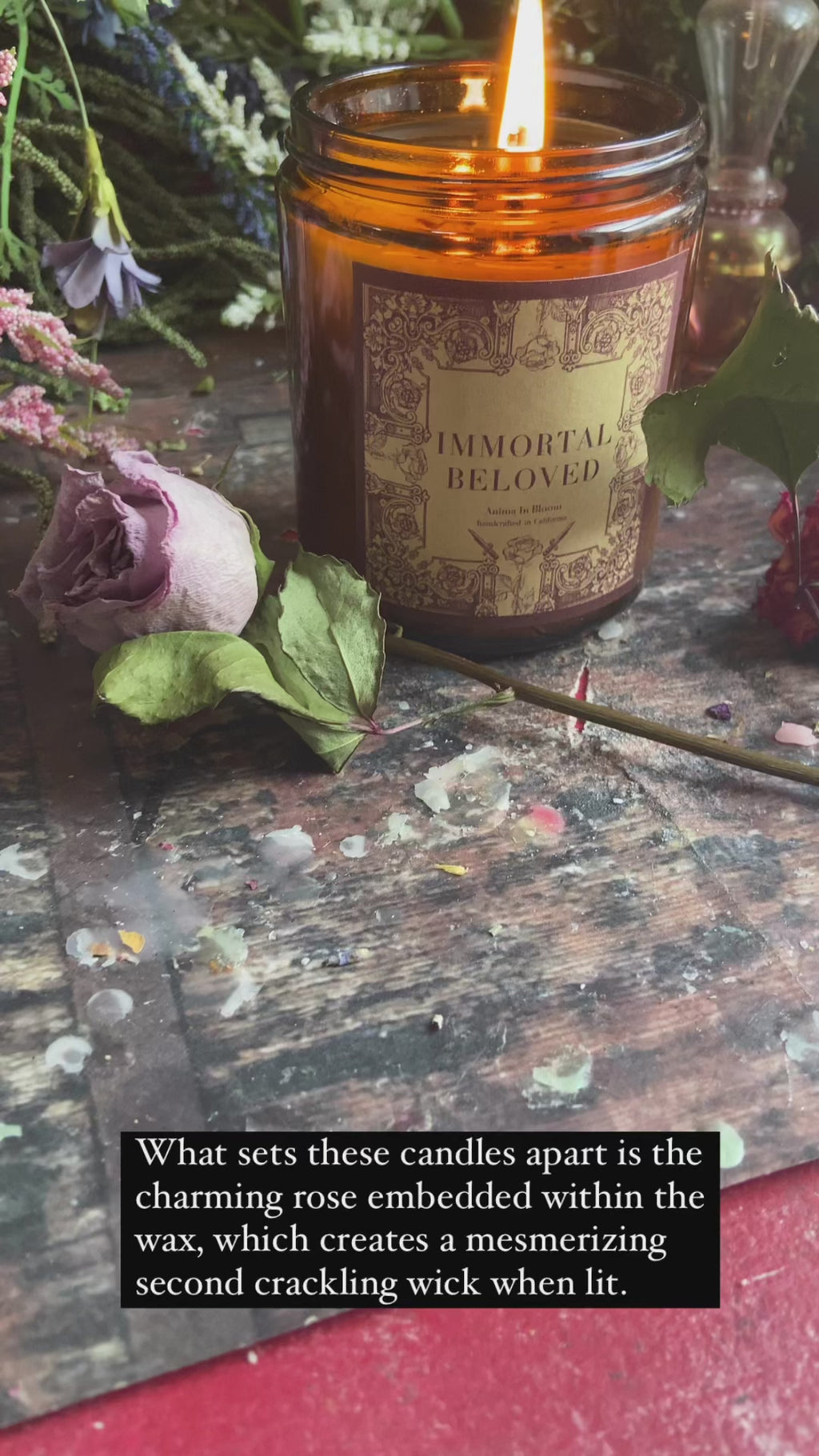 Amber & Warm Vanilla “Immortal Beloved” 8oz Soy Candle