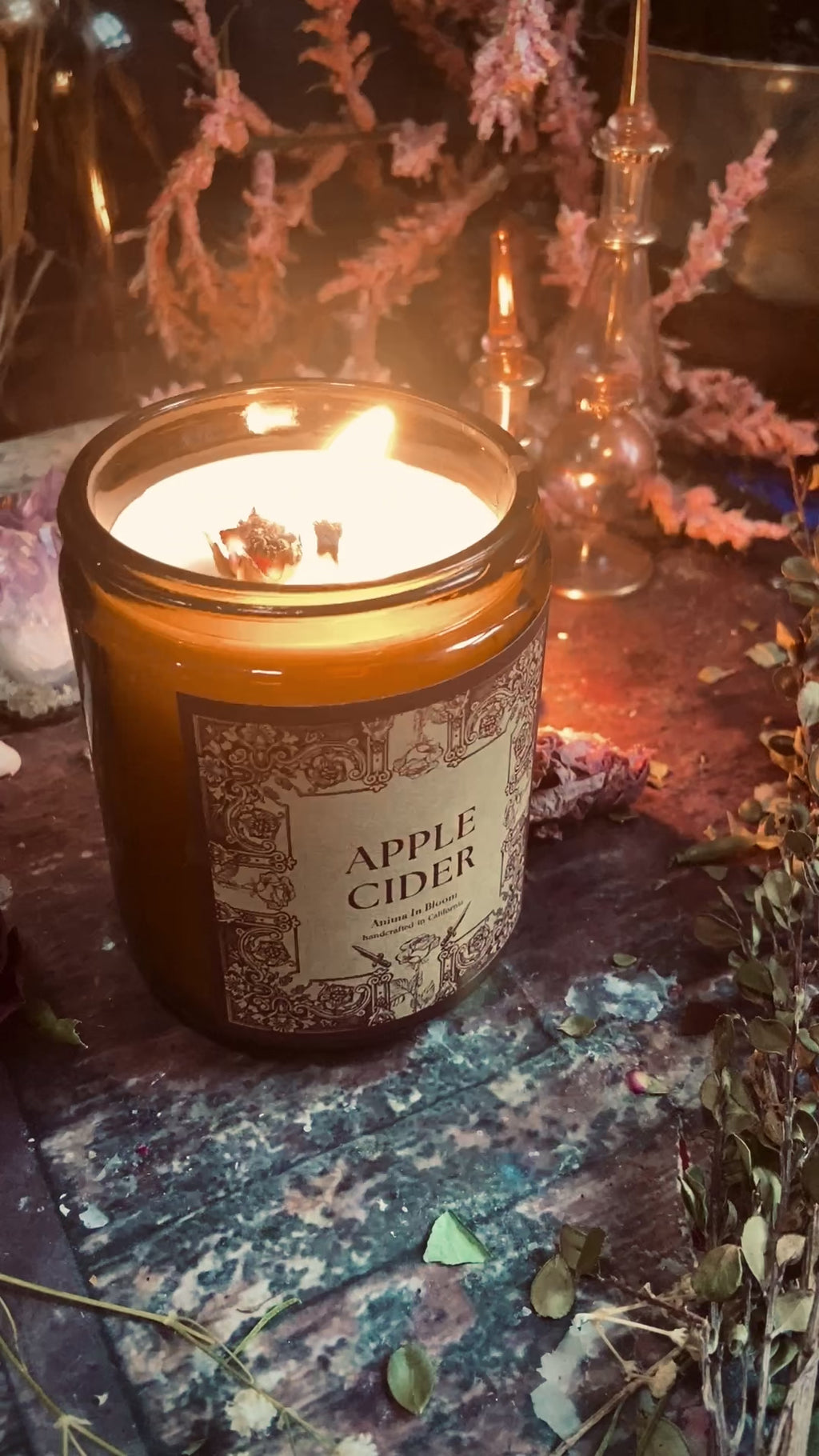 Apple Cider 8oz Soy Candle