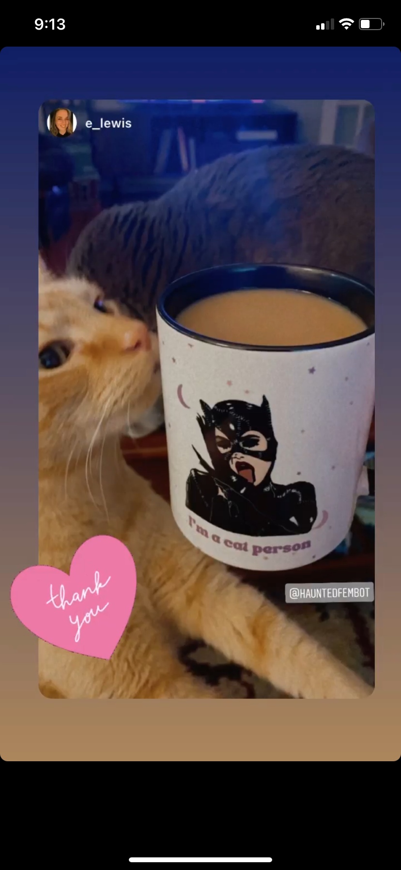 "I'm a Cat Person" Coffee Mug